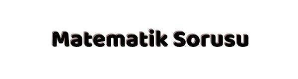 Matematik Sorusu