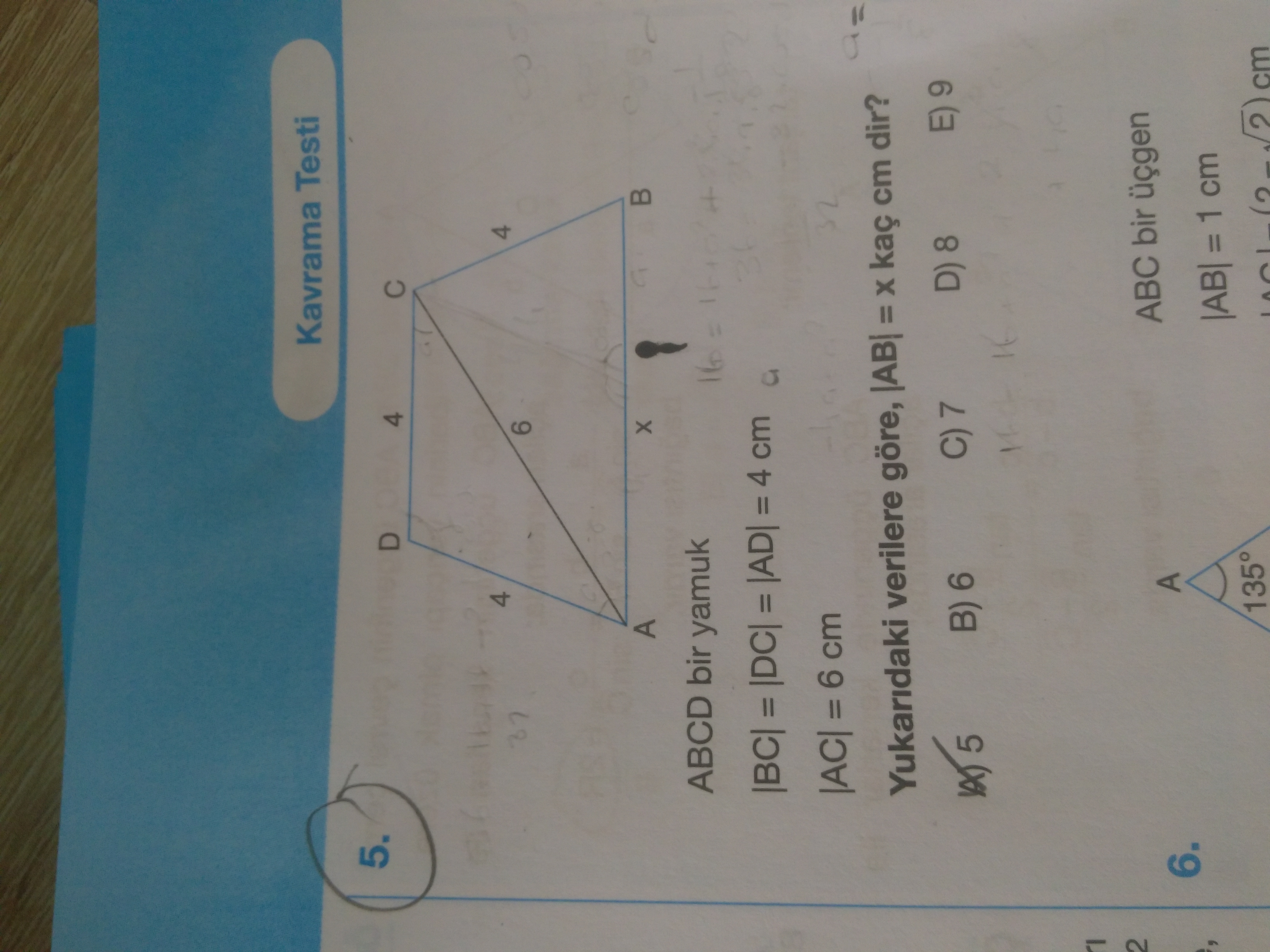 Palme trigo 5