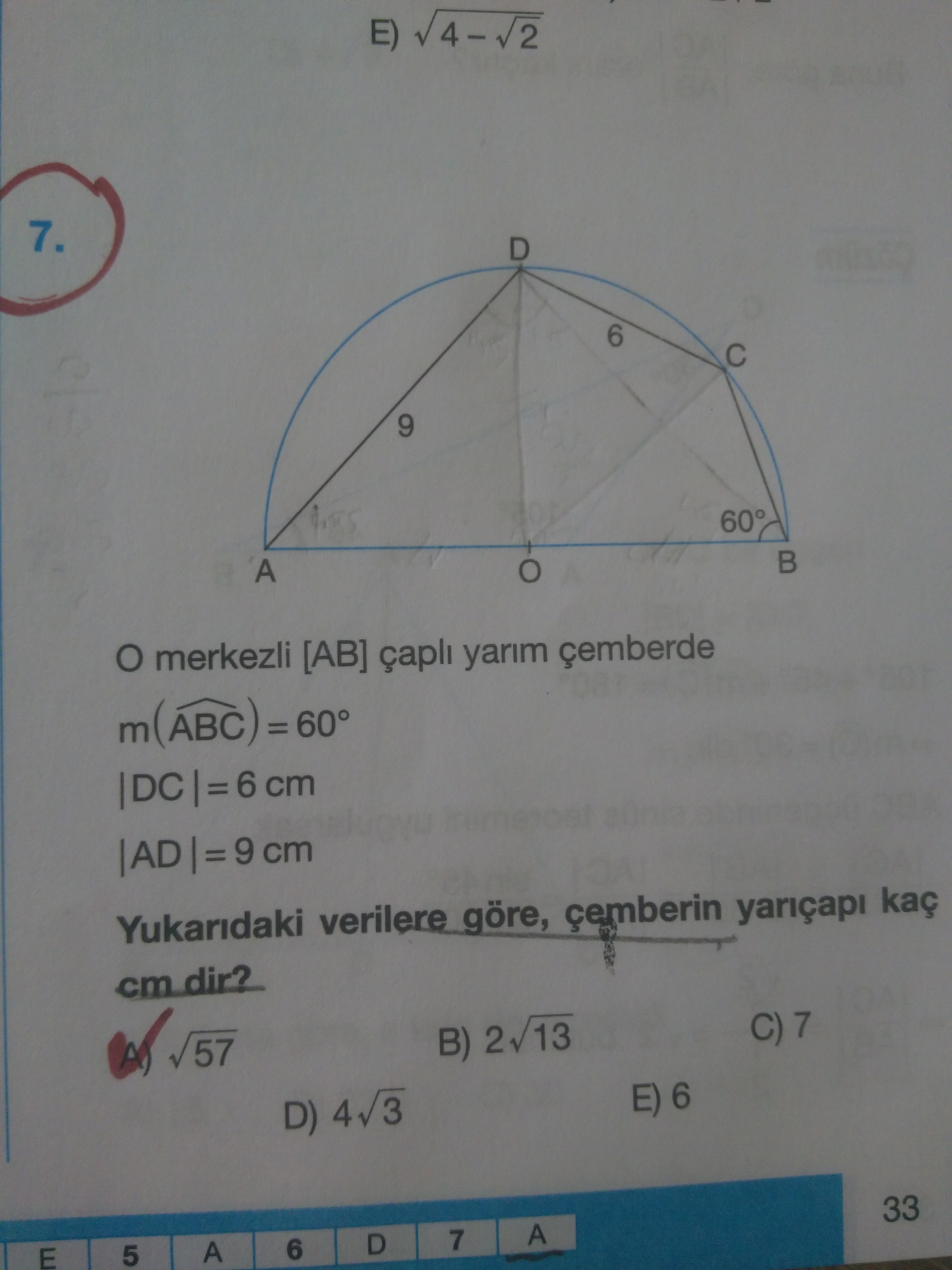 Palme trigo 7